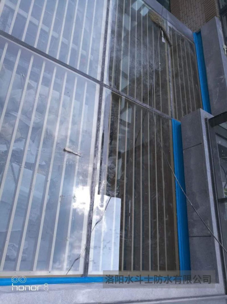 陽(yáng)光房 (4)