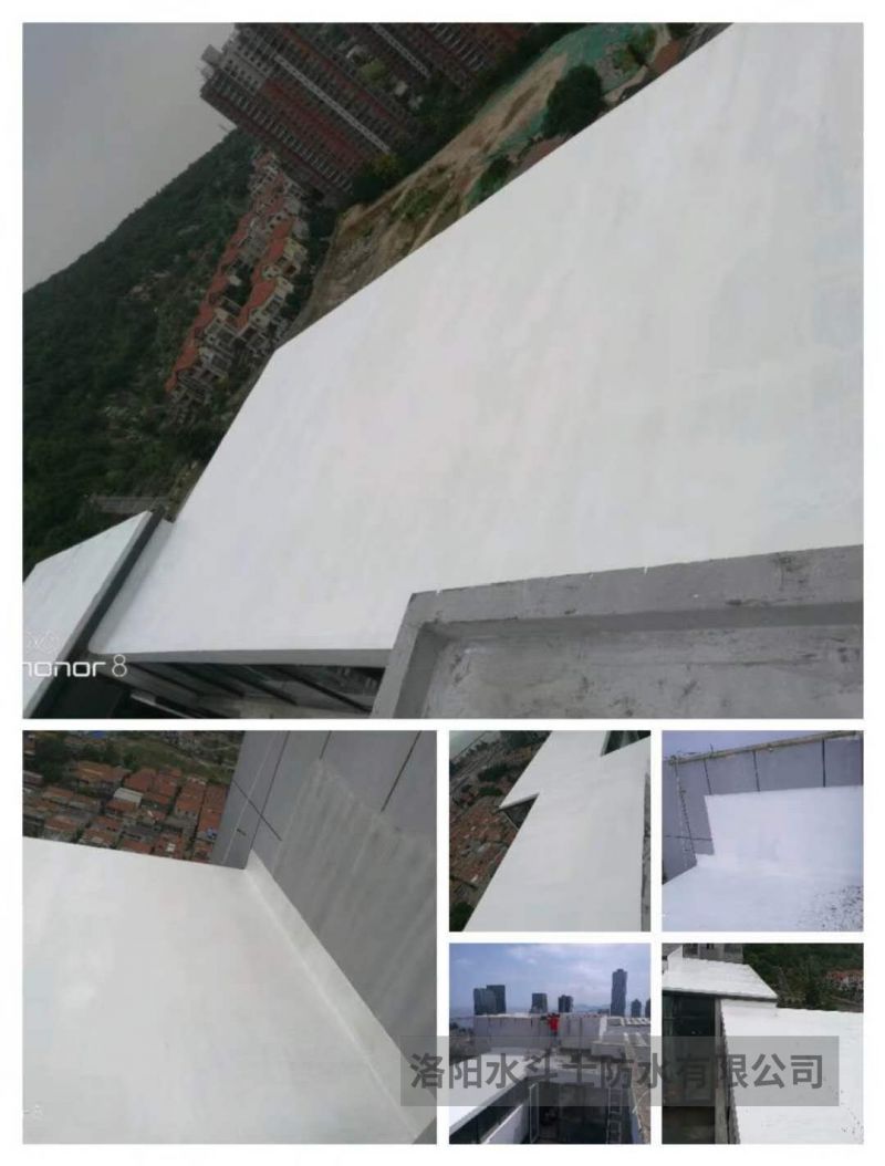 陽(yáng)光房 (5)